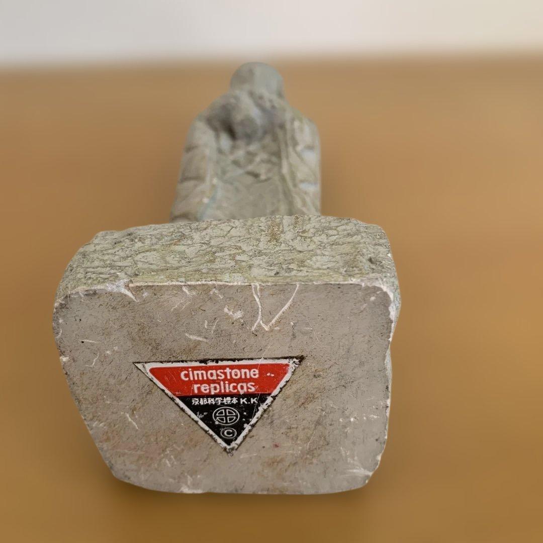 石像本体　京都科学標本