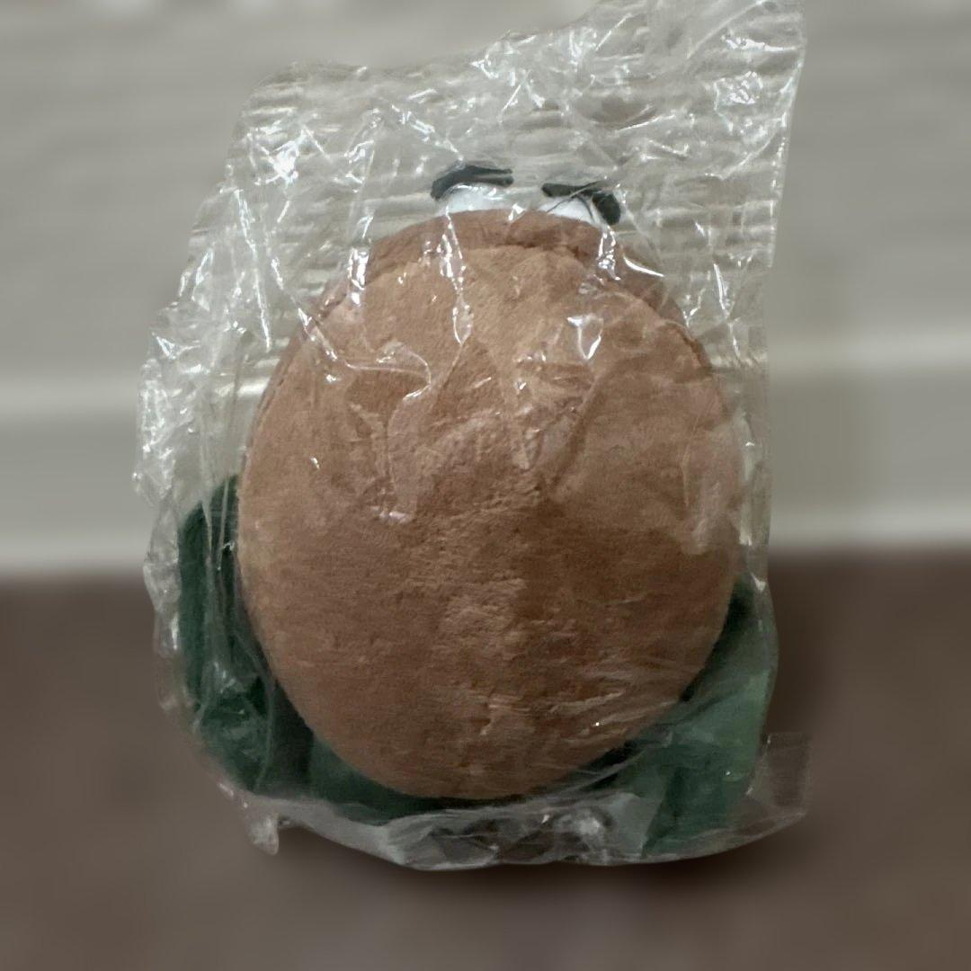 Zespri キウイ ブラザーズ　ぬいぐるみ 2個セット　新品