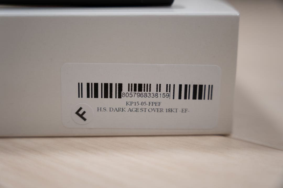 【最終価格】VISCONTI 万年筆　ホモサピエンス EF ダークエイジ