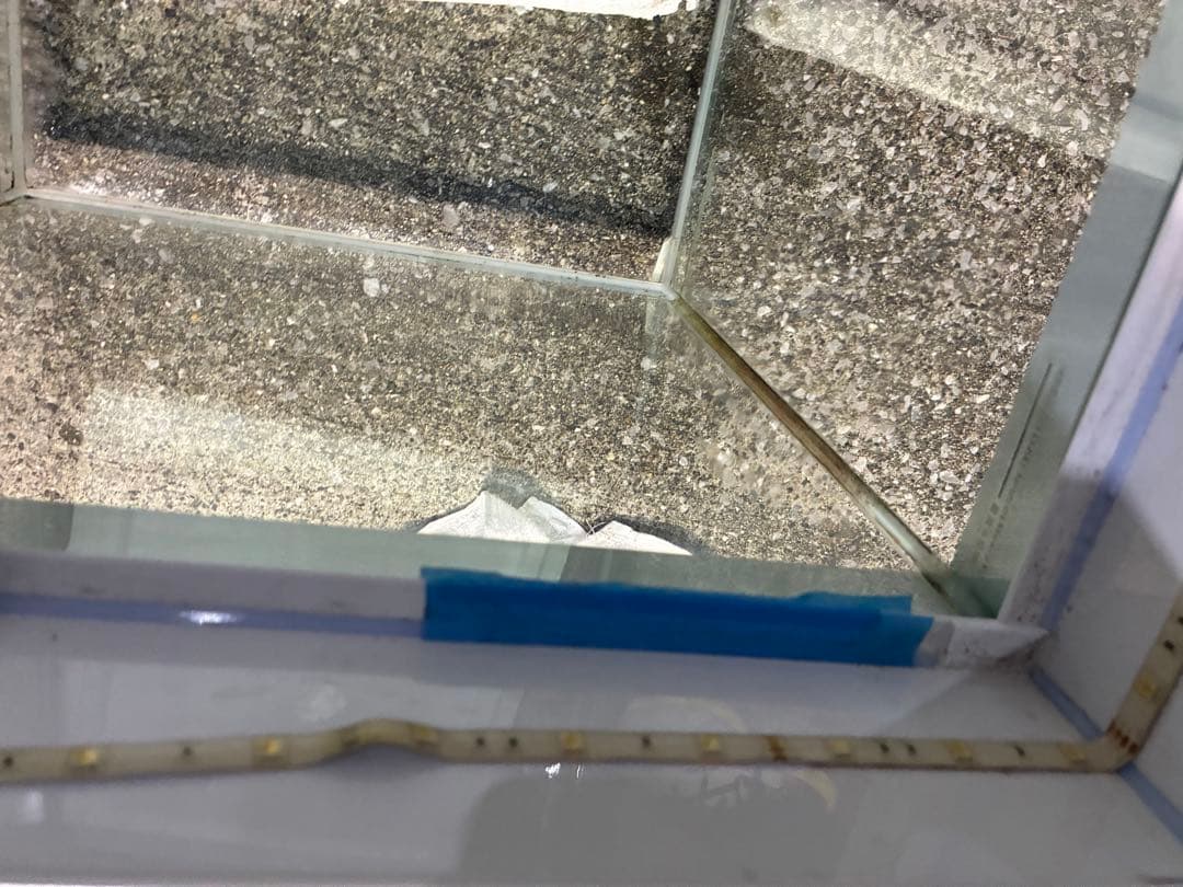 美品120cm水槽＋カバー付き！ 発送不可！