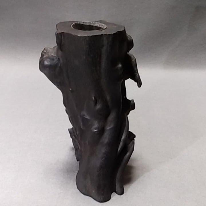 海松　深海松　黒珊瑚