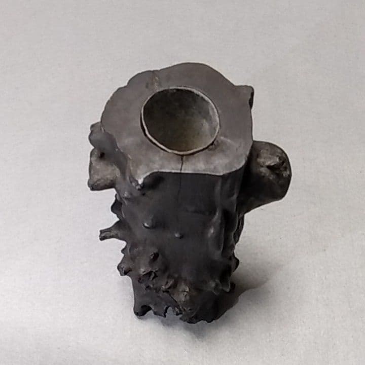 海松　深海松　黒珊瑚