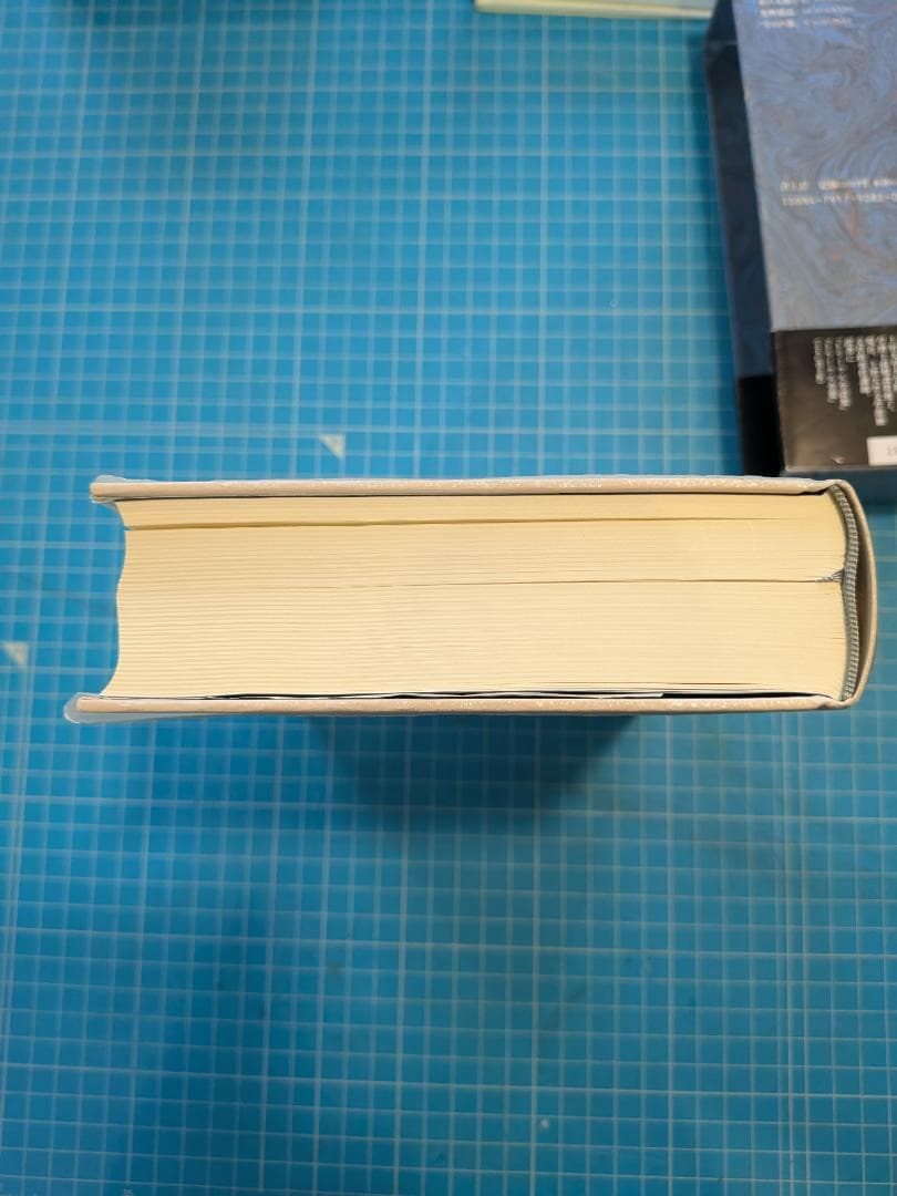 期間限定値下げ！パウル　ツェラン全詩集 2/ 中村朝子訳