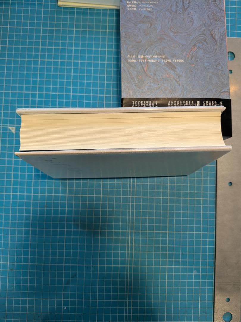 期間限定値下げ！パウル　ツェラン全詩集 2/ 中村朝子訳