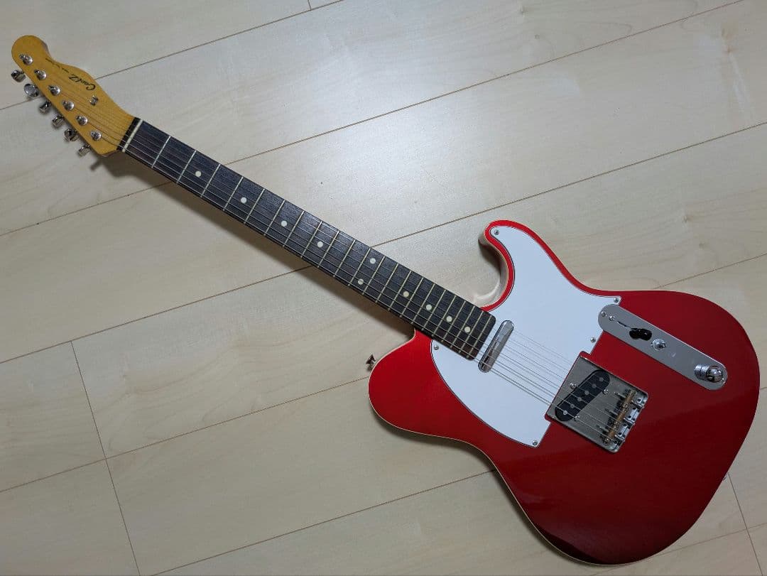 テレキャスター(coolz ZTR-M2R)/MARUEセミハードケース