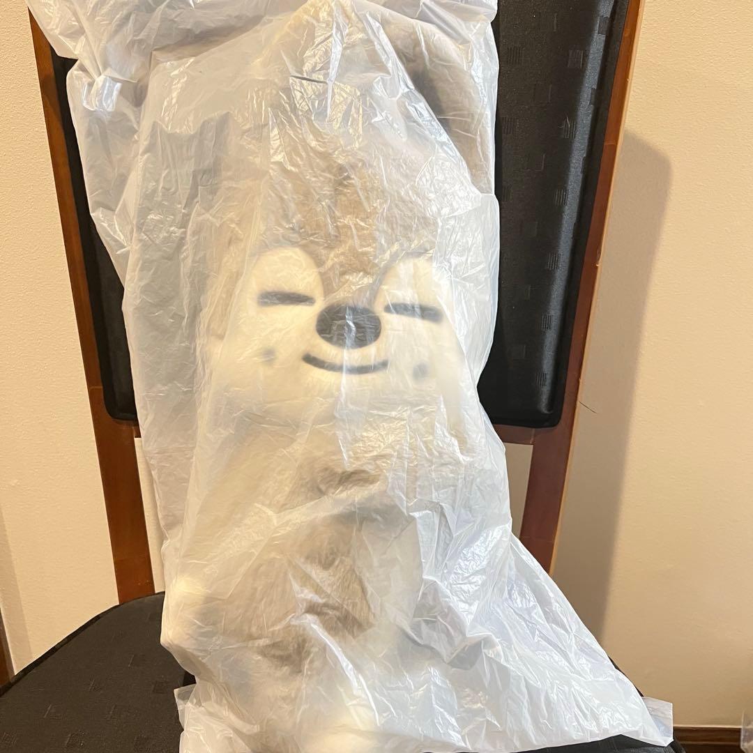 straykids fans plush bag バンチャン ウルフチャン