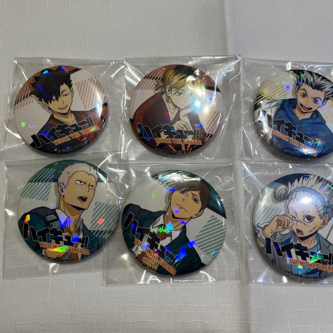 ハイキュー!! 　ハイドリ大感謝祭B賞 缶バッジ6個セット