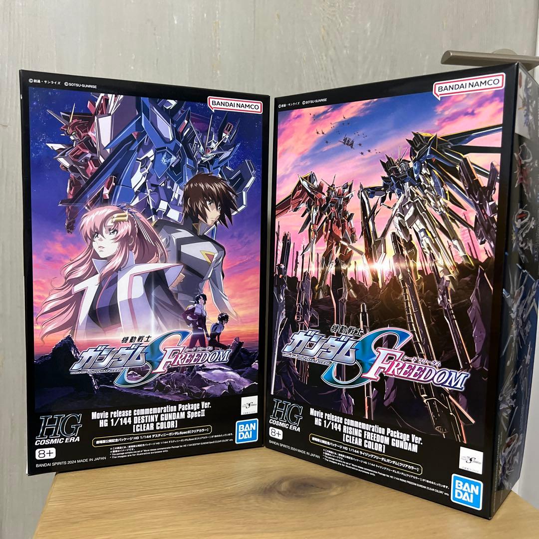 ロボット HG DESTINY GUNDAM & RIGEN FREEDOM GUNDAM