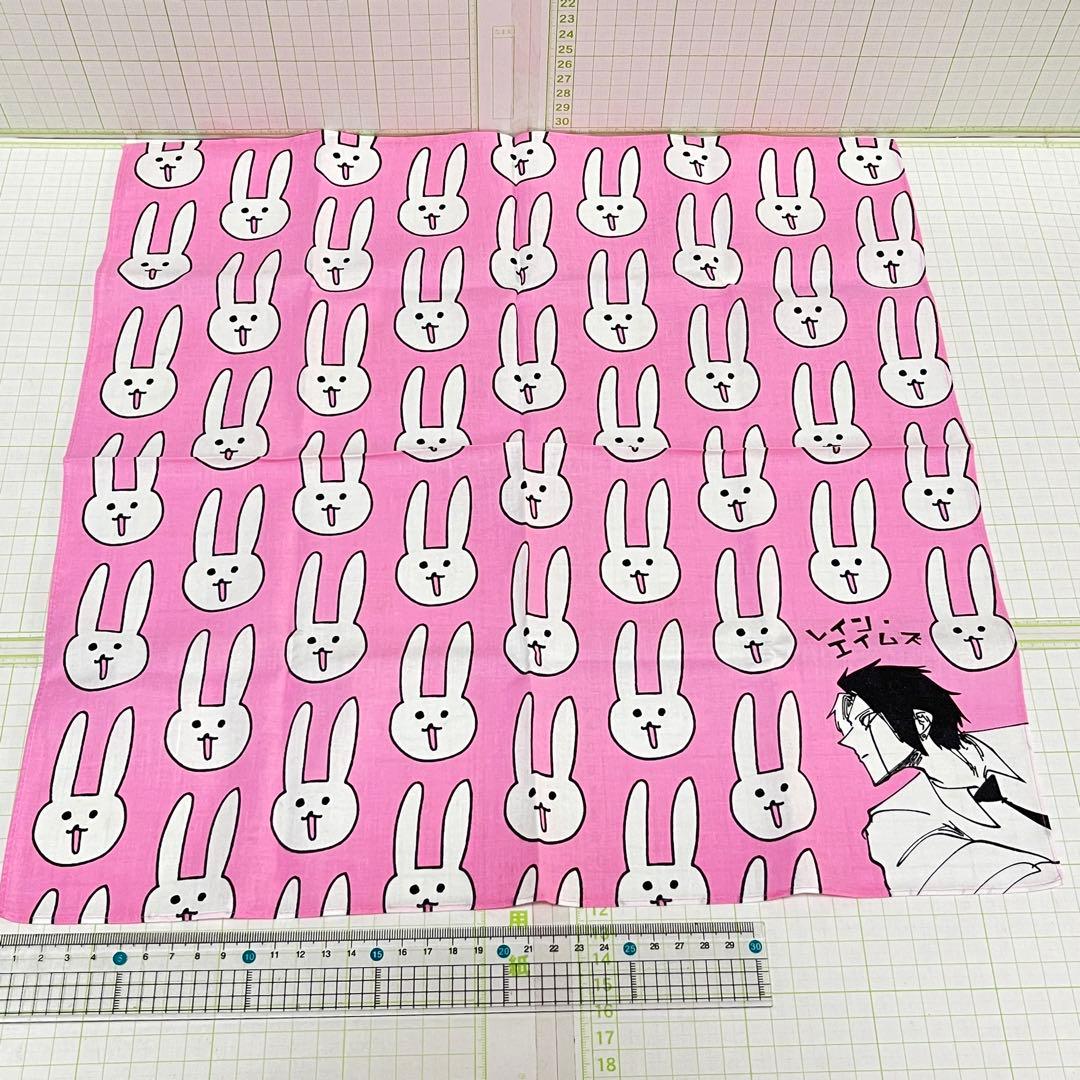 レイン・エイムズ　ウサギ　魔法のハンカチ