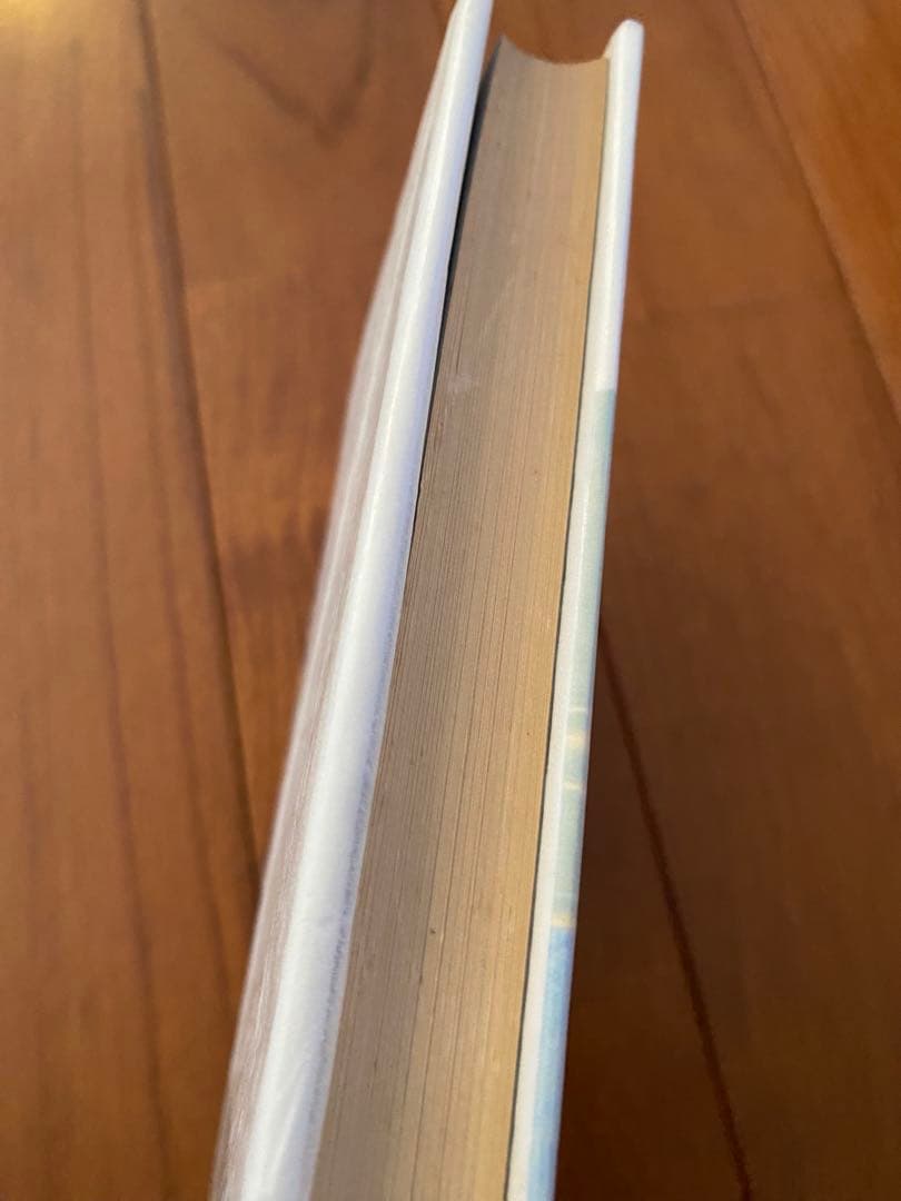 岡田睦『ワニの泪』河出書房新社