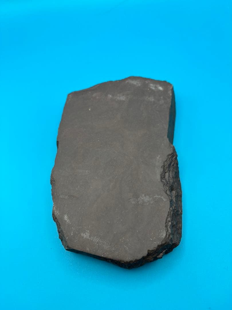 端渓硯　石目　梅の花