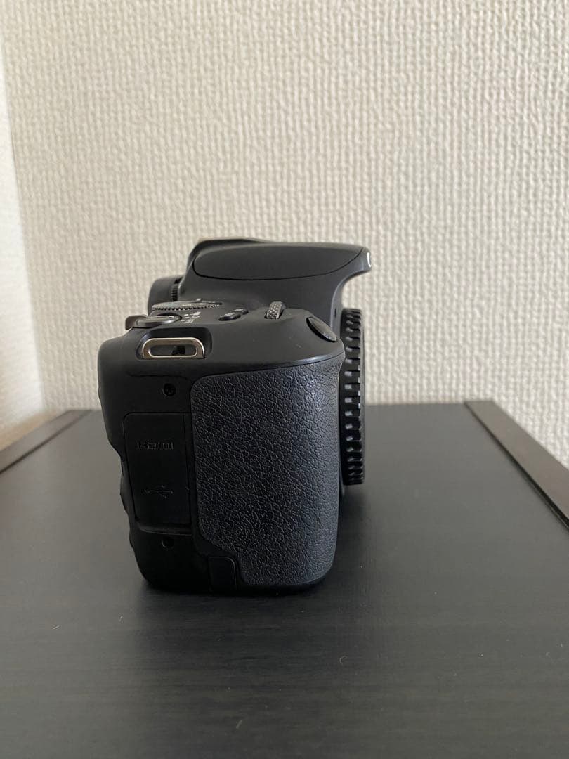 CanonEOSkissX9レンズキット＋CanonEF75-300mm