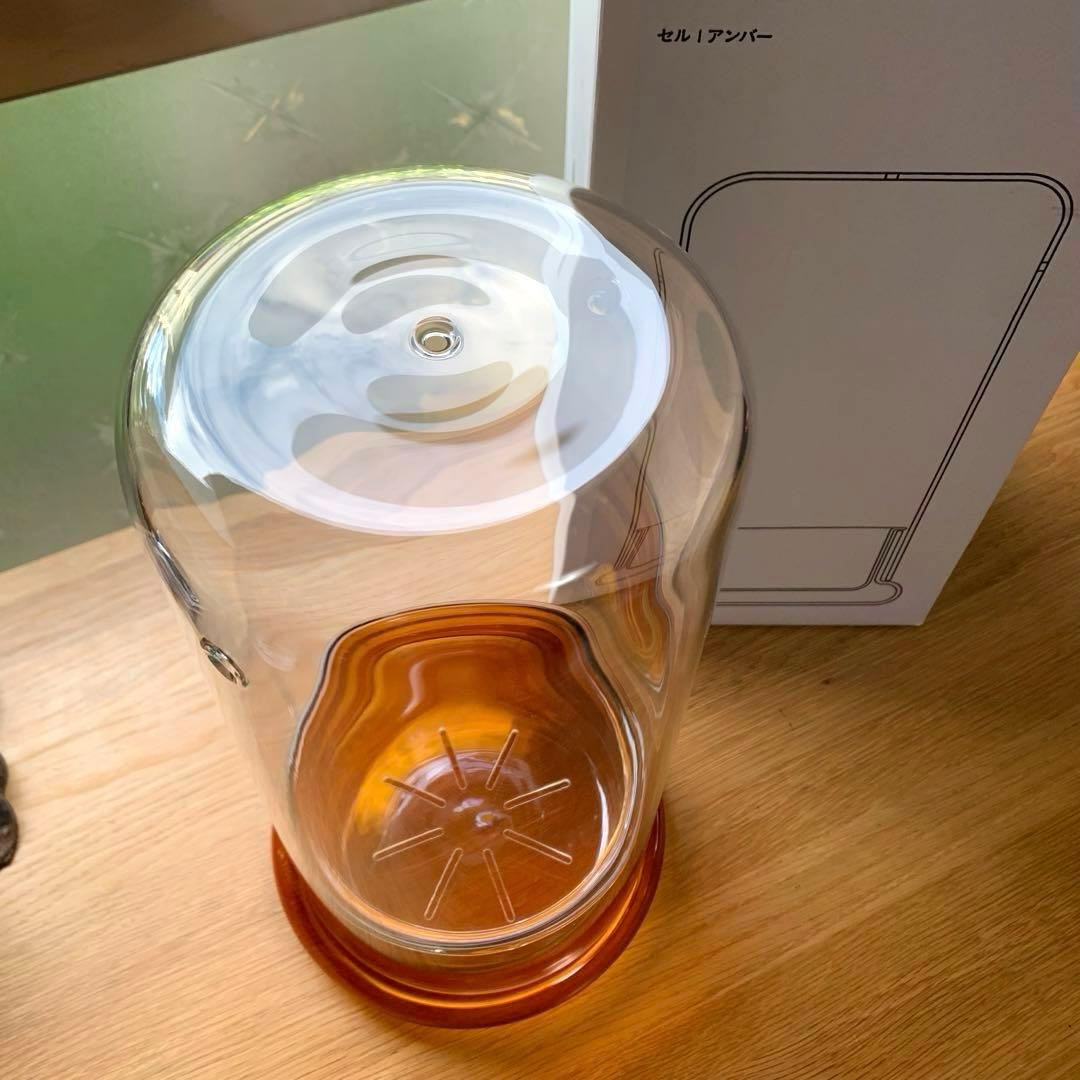 DOOA CELL AMBER (セル・アンバー)