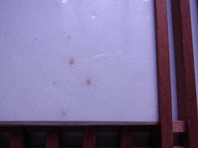 色紙　名人　中原誠　前進できぬ駒はない　永世10段