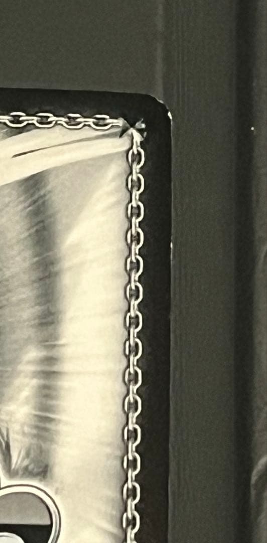 ヴァイス 新妹魔王の契約者 澪と主従契約 SP サイン 角川スニーカー文庫