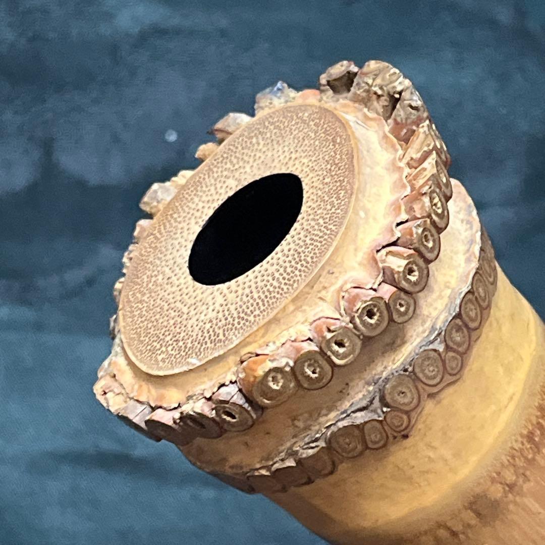 尺八 琴古流 在銘 一尺六寸管 籐巻 銀三線 【音出し確認済み】