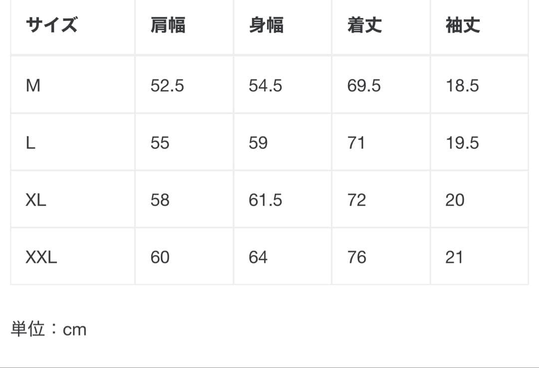 SAINT Mxxxxxx セントマイケル 24SS tシャツ