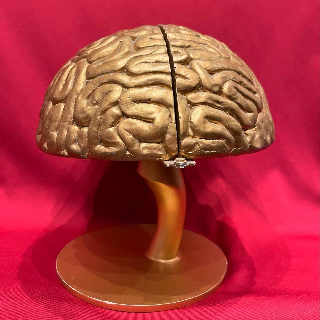 【本物】トリビアの泉 金の脳 へぇ タモリ 八嶋智人 高橋克実