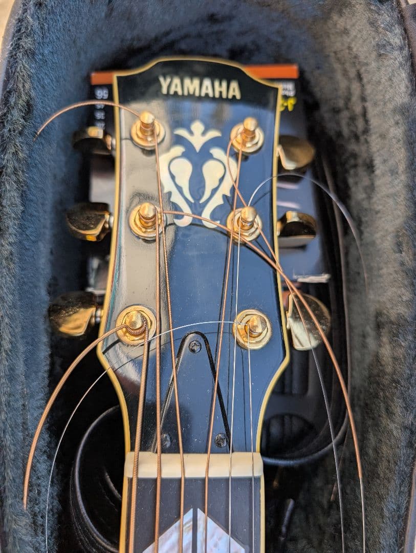 【期間限定価格】ヤマハ　アコースティックギター　CJ-22