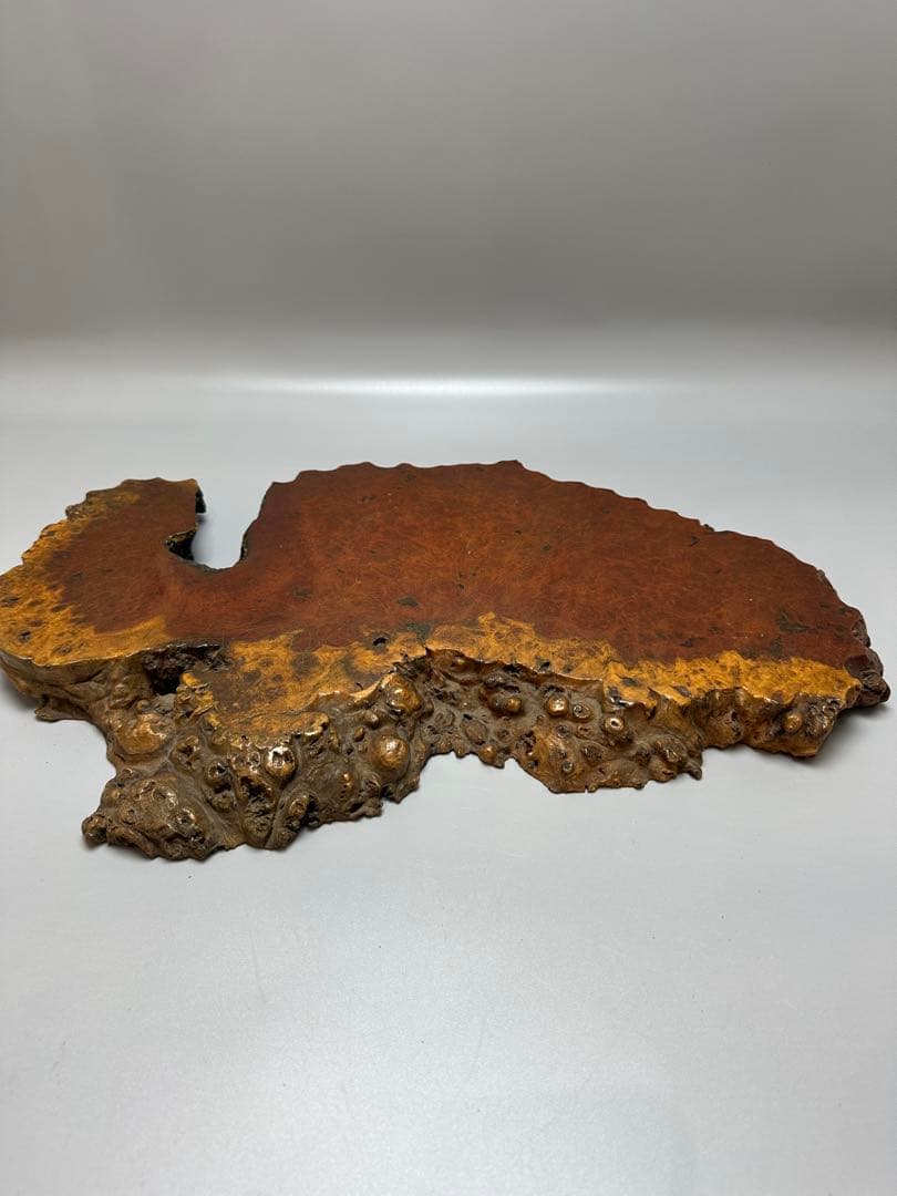 葡萄木 敷き板 香炉台 幅 50cm×30cm