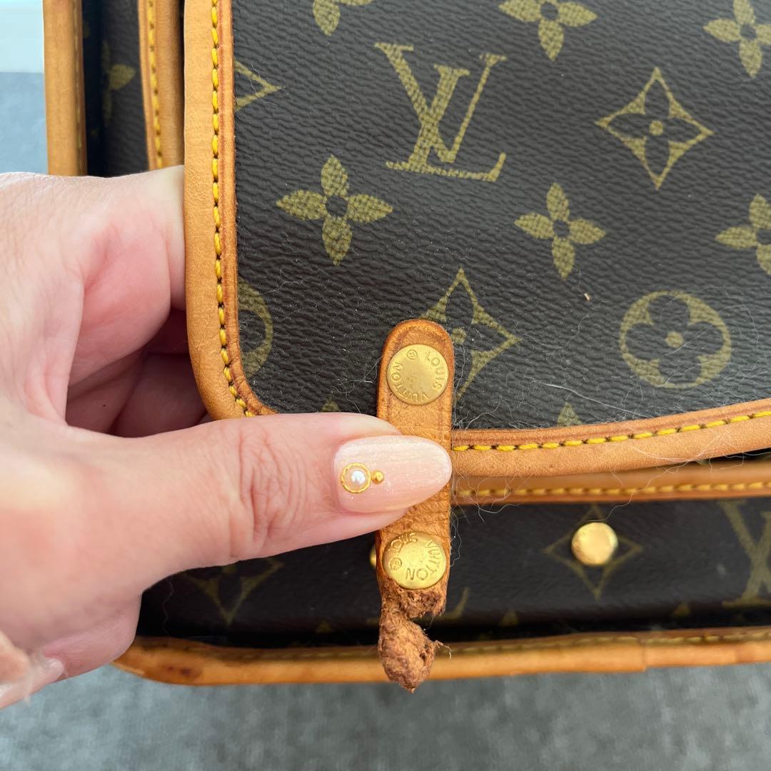 ヴィトン ドックキャリーバック