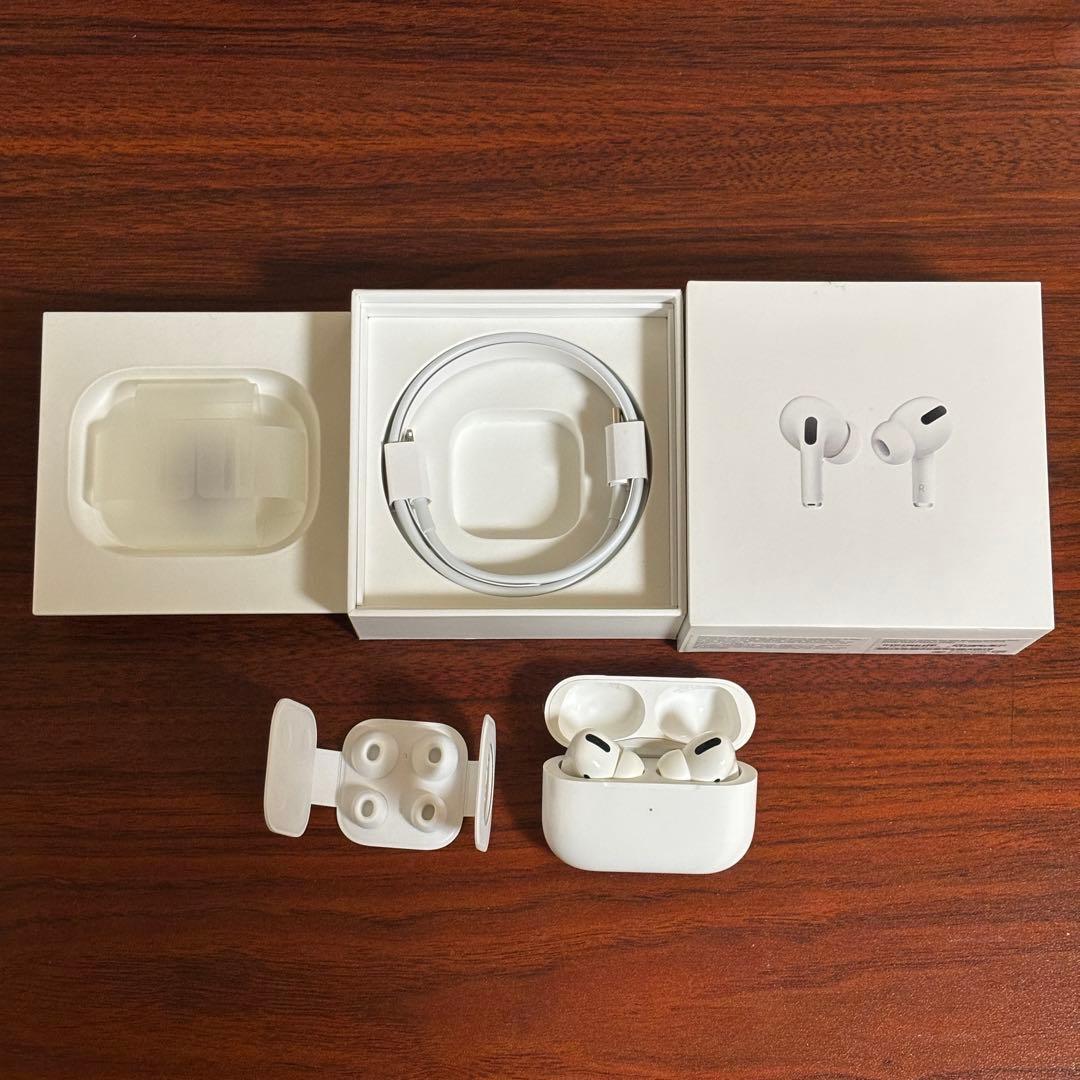 Apple AirPods Pro 第1世代 本体