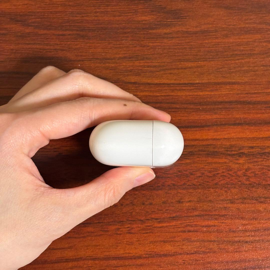 Apple AirPods Pro 第1世代 本体