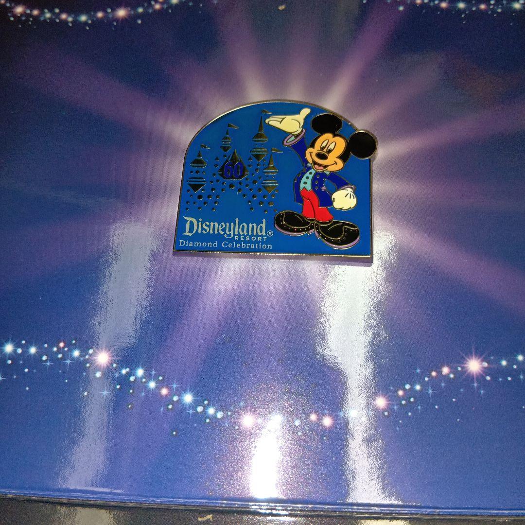 ディズニー　ピンバッジ　１４点　台紙付き　　ディズニーJCB　まとめ売り