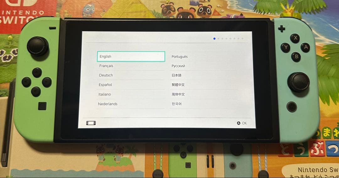 どうぶつの森デザイン　switch 本体　 おまけ付き