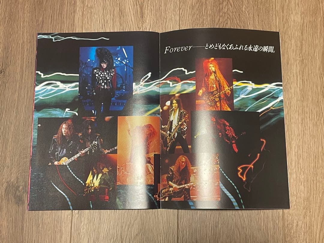 X JAPAN/X JAPAN RETURNS、HIDEとHEATHのピック付き