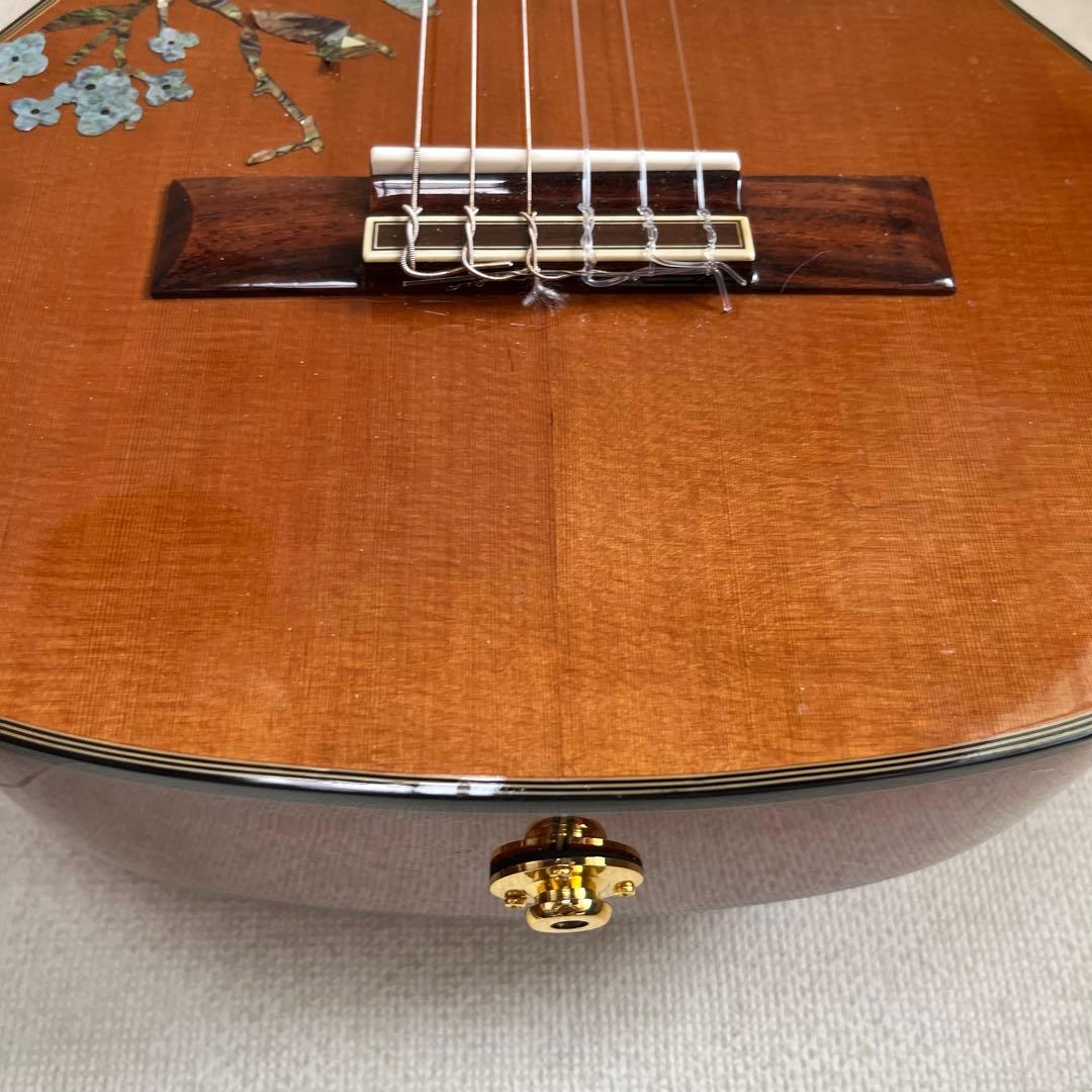 T*i様 値下げ中Aria ミニガット　エレアコ仕様　インレイシール