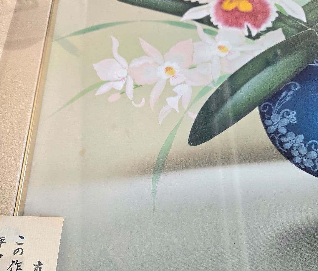 日本絵画　田上栖苑 洋蘭　カトレア 絵画