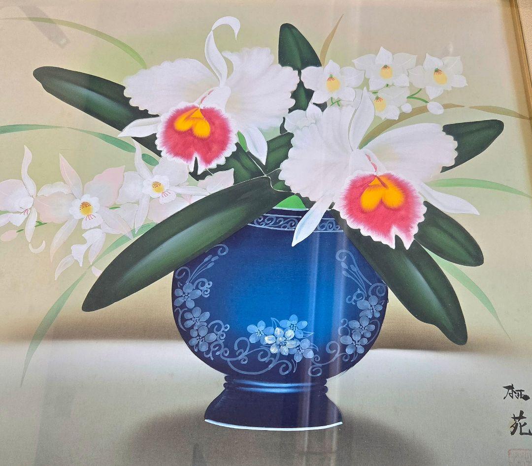 日本絵画　田上栖苑 洋蘭　カトレア 絵画