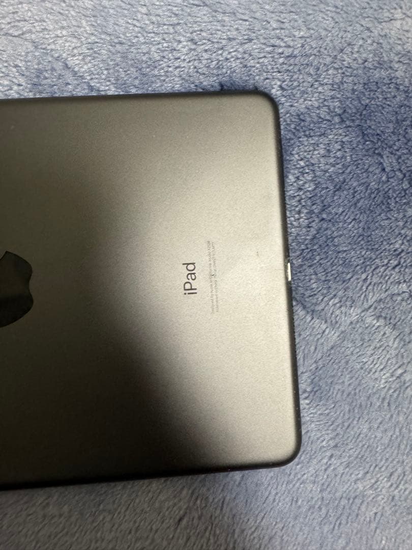 【美品】iPad mini 第5世代 スペースグレー　64GBセルラーモデル