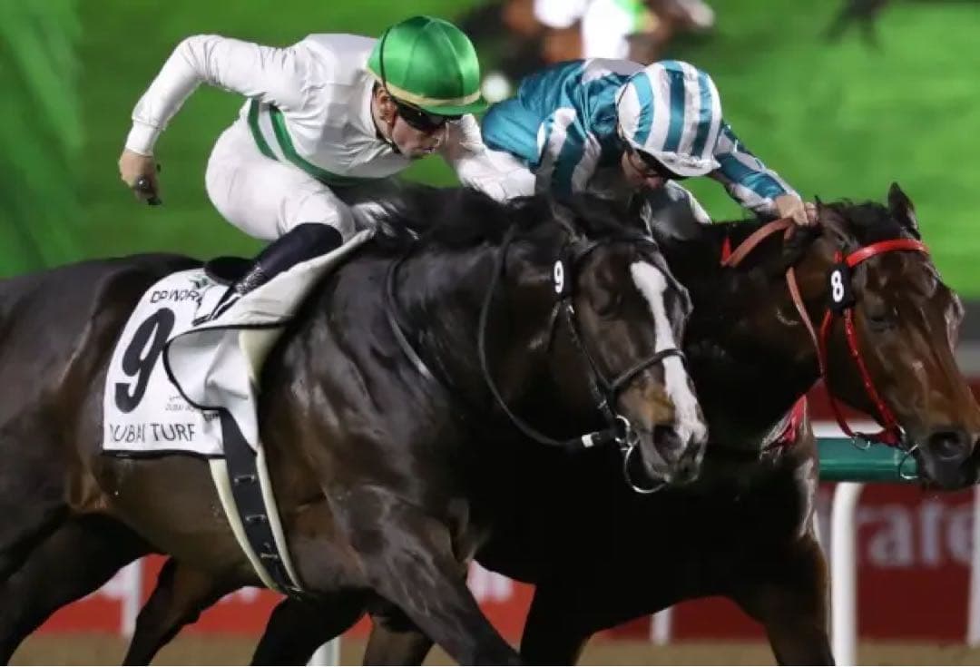 ソウルラッシュ デムーロ　世界限定 ホースレーシングカード 競馬　専用台座付　馬