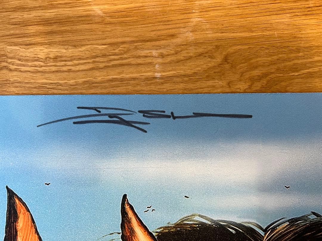 プレイマット　B.F.M. (Big Furry Monster)