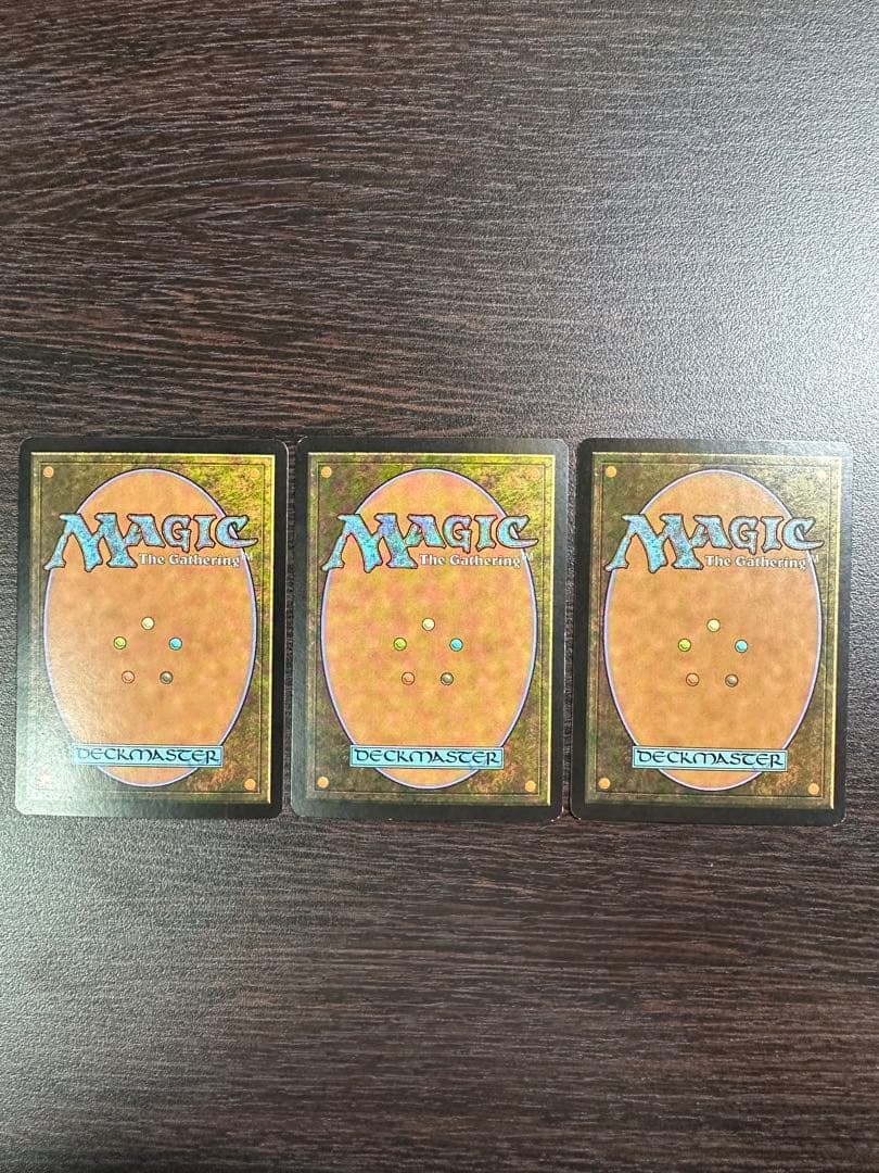 MTG 電結の荒廃者　foil 3枚