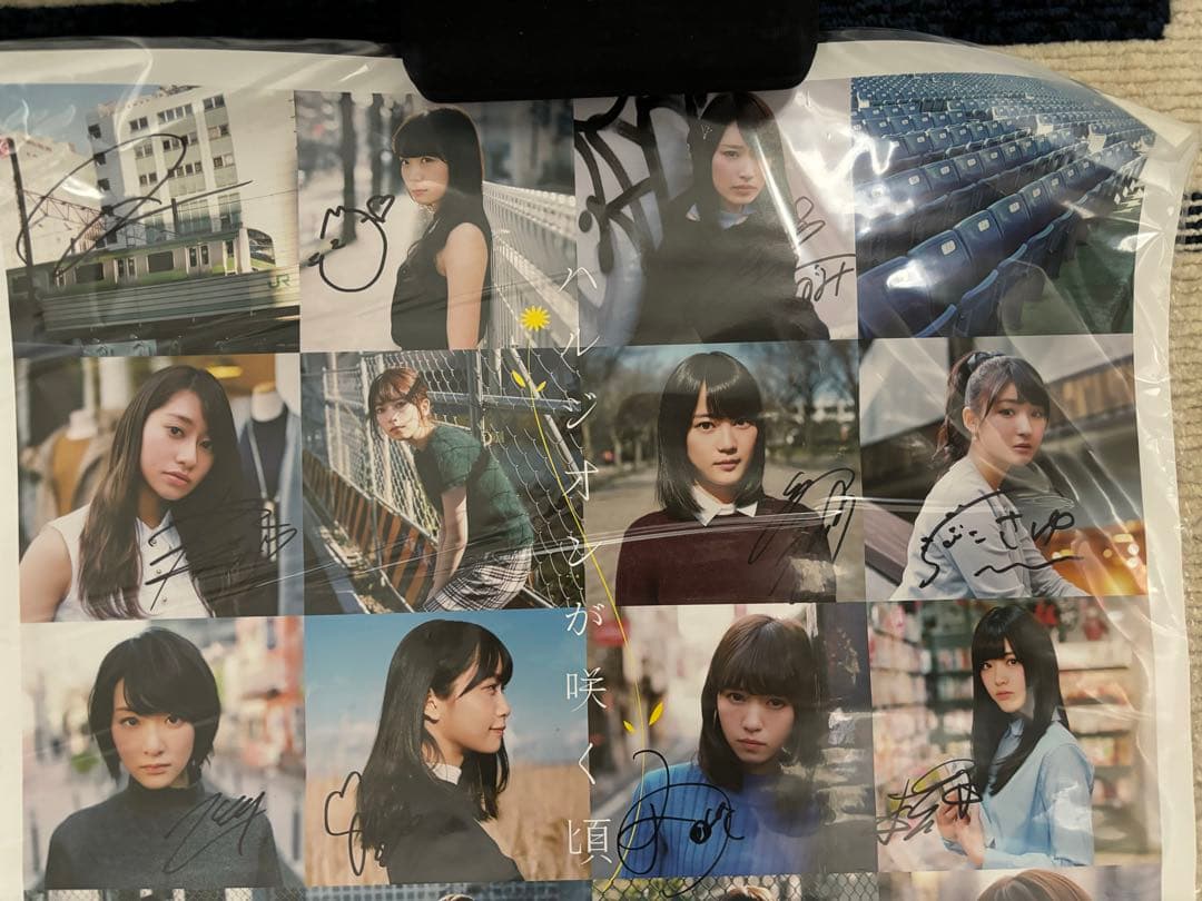 乃木坂46 ハルジオンが咲く頃 サインポスター