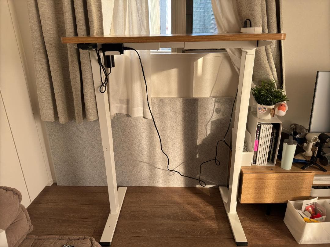 FlexiSpot 電動式スタンディングデスク EG1 昇降デスク 100x60