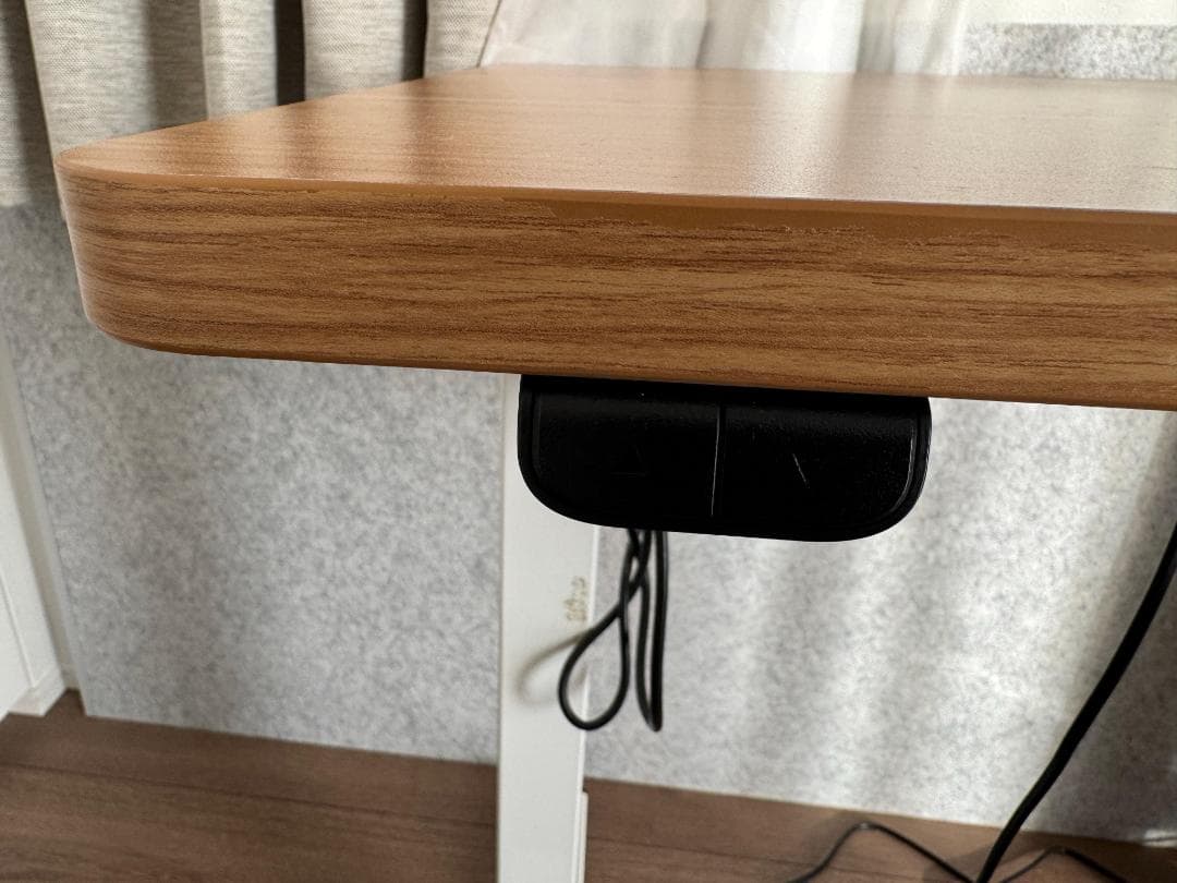 FlexiSpot 電動式スタンディングデスク EG1 昇降デスク 100x60