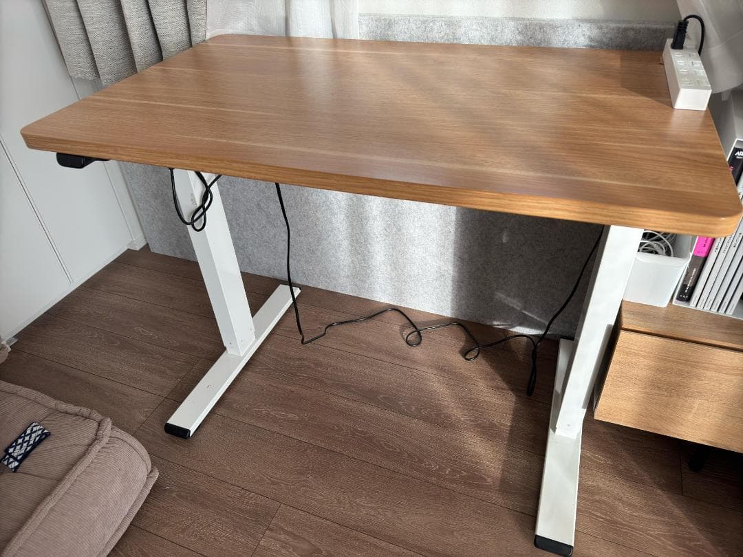 FlexiSpot 電動式スタンディングデスク EG1 昇降デスク 100x60