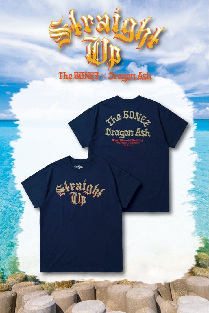 Straight Up Tee #5 沖縄限定 琉球カラー XL