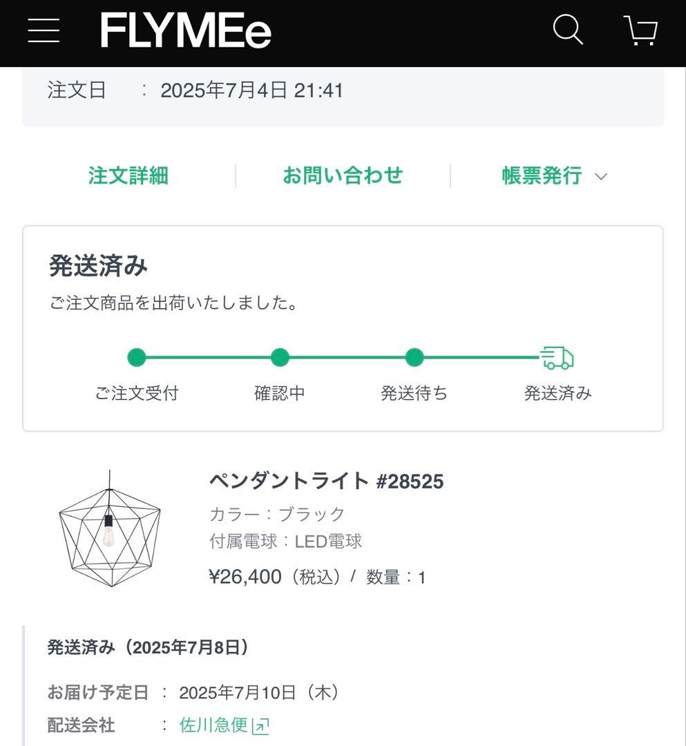 【新品未使用】FLYMEe ブラックワイヤー ペンダントライト