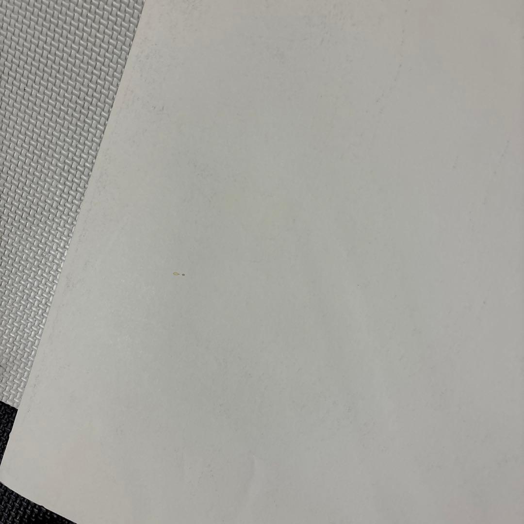 【中古】スラムダンク　ポスター　流川楓