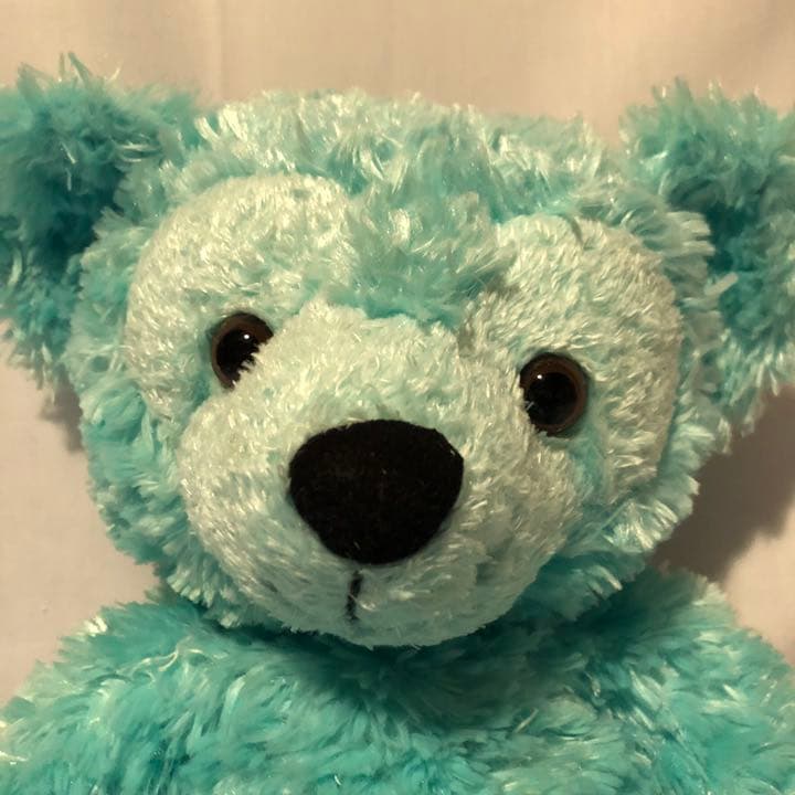 最終値下【希少/レア】WDW ディズニーベア 限定ダッフィー エメラルドグリーン