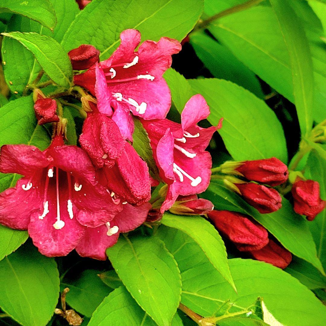 工芸品 taturou.825