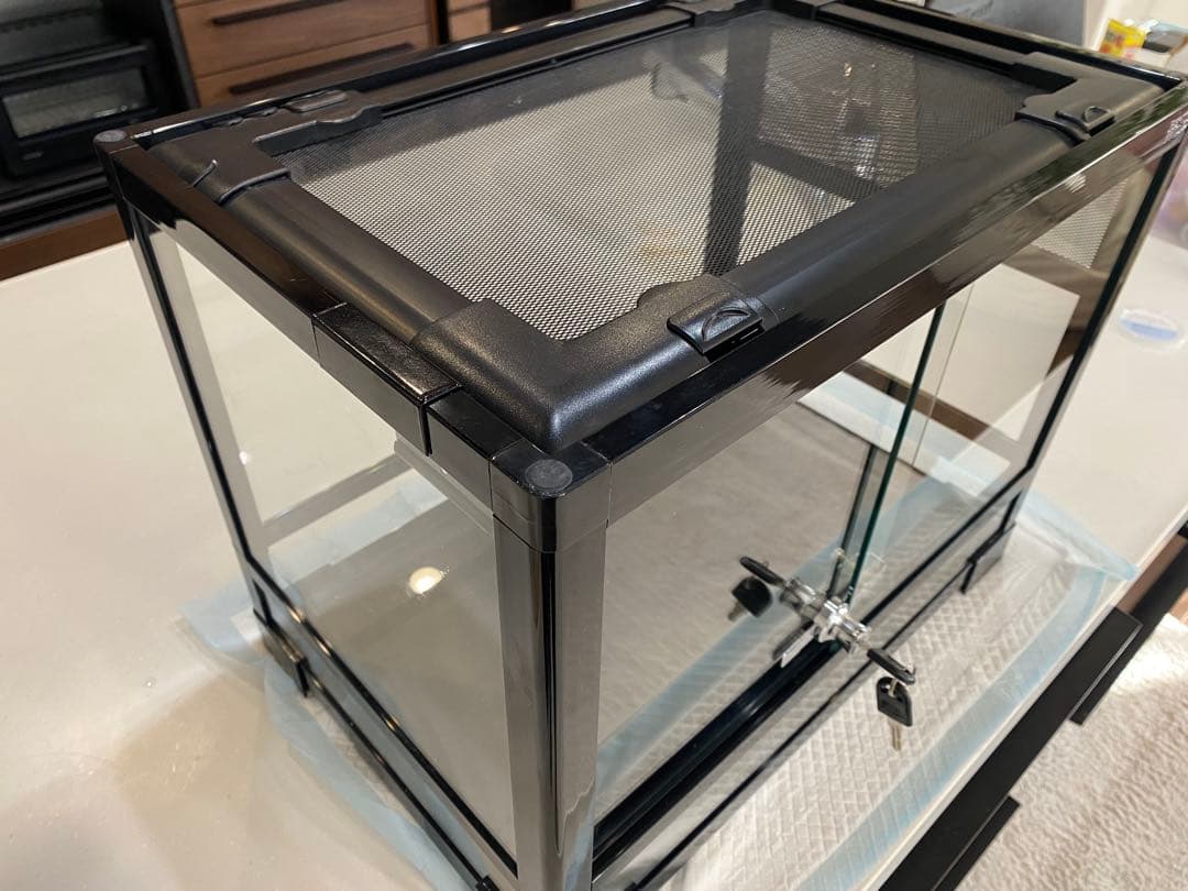 パンテオン　4535 ブラック