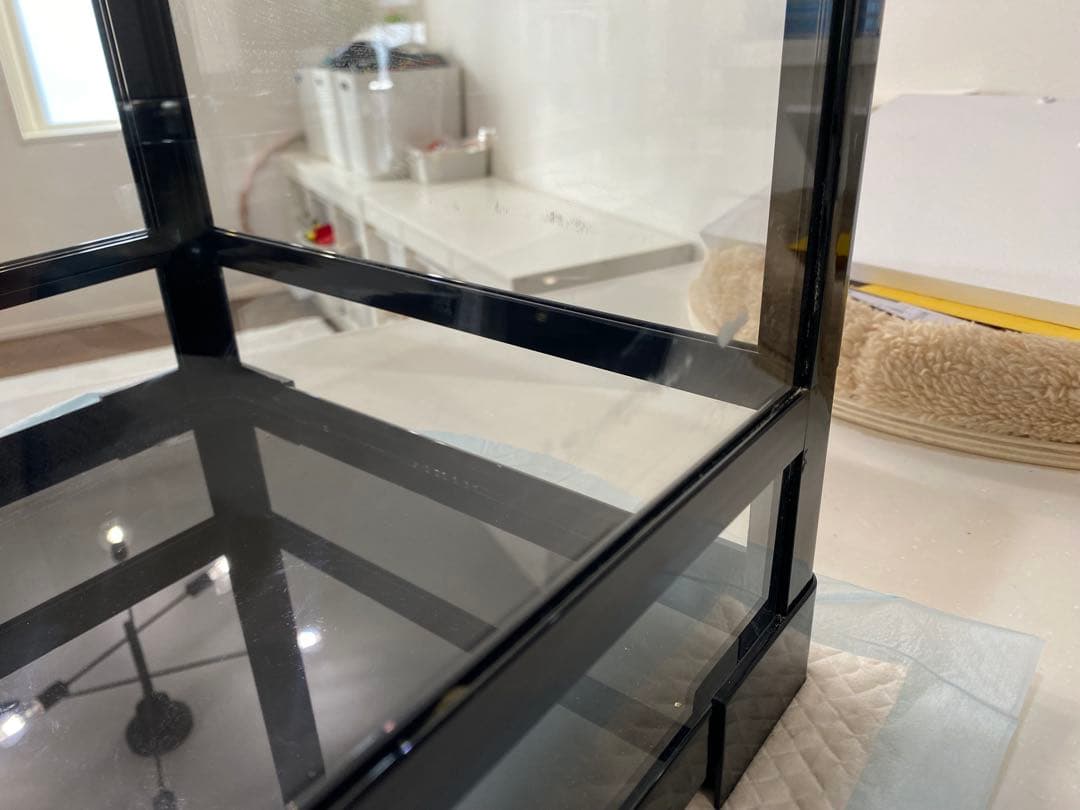 パンテオン　4535 ブラック