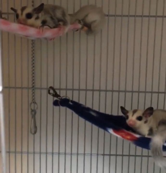 三角コーナーハンモック(うさぎ・和柄・P)夏仕様  2枚目 1150円