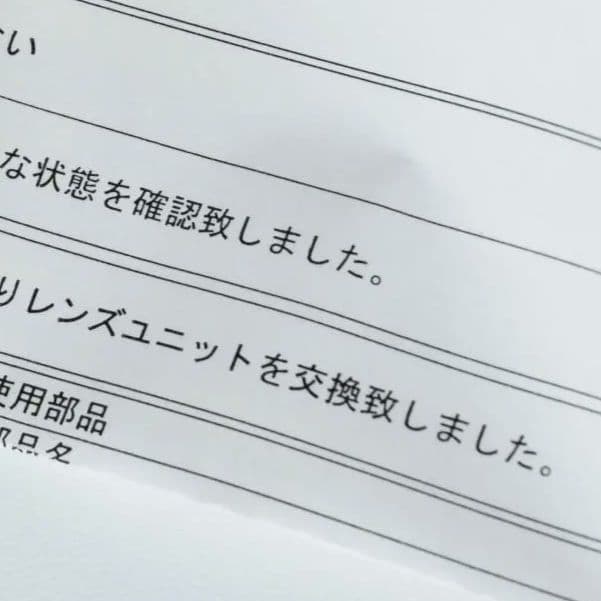 Panasonic LUMIX DMC-FZ300 LEICAレンズ搭載